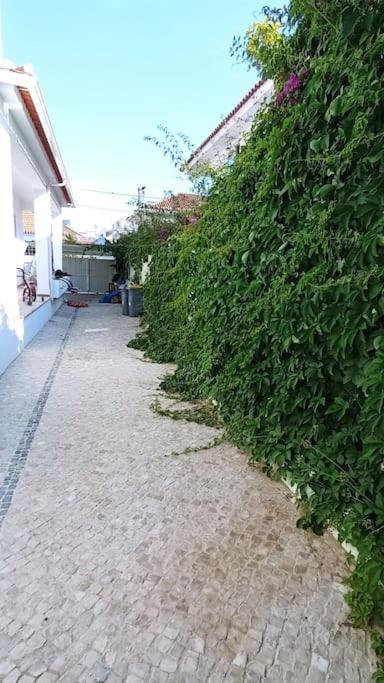 Private Small Studio In Costa De Caparica 외부 사진